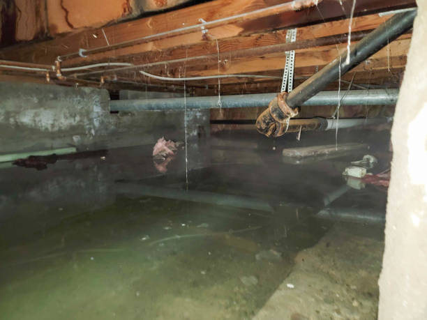 Best Water damage cleanup near me  in North Bay Shore, NY
