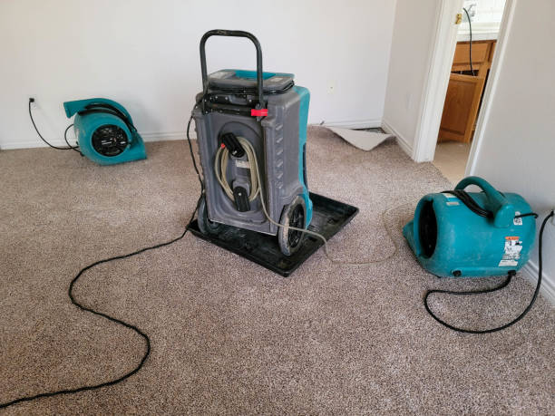 Best Sewage cleanup and water damage restoration  in North Bay Shore, NY