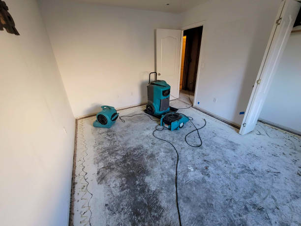 Best Fire Damage Restoration  in North Bay Shore, NY