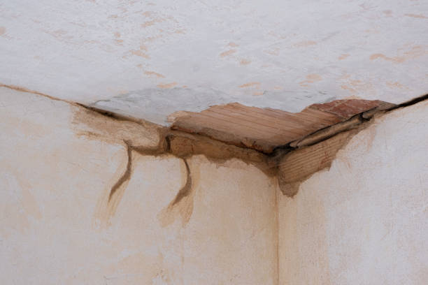 Best Ceiling water damage repair  in North Bay Shore, NY
