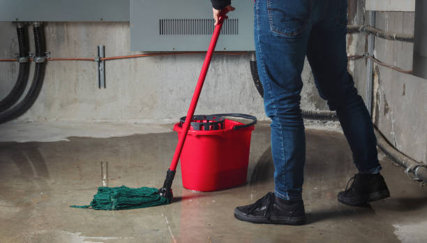 Best Local water damage restoration  in North Bay Shore, NY
