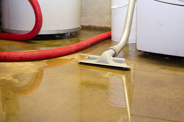 Best Carpet water damage restoration  in North Bay Shore, NY