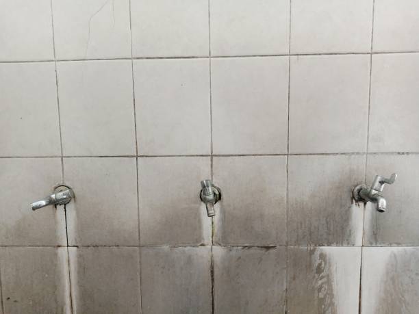 Best Commercial water damage restoration  in North Bay Shore, NY